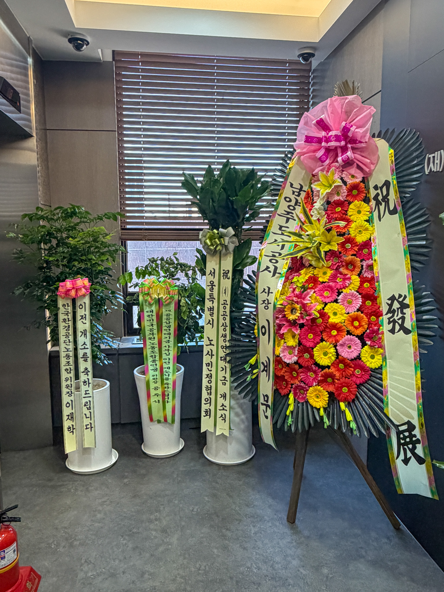 화분3