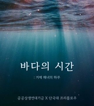프리플로우